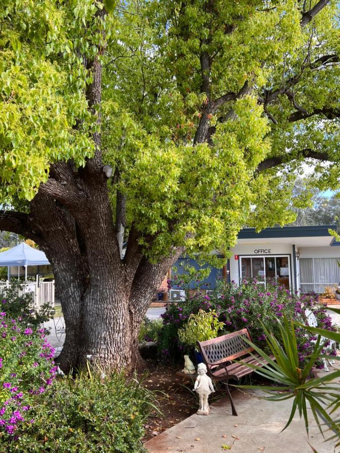 Sturt Motel バルラナルド エクステリア 写真